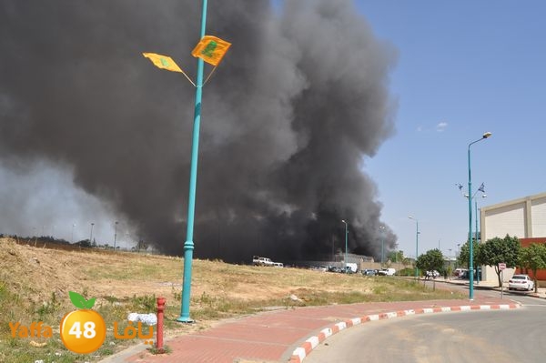 fireramlasejn4288 (2).JPG